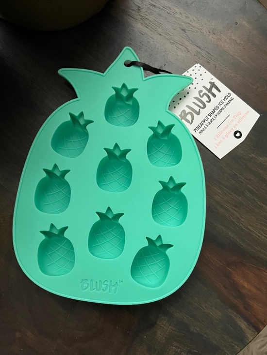 Blush Other - BLUSH Silicone Mold Pineapple Ice Cube Tray Shapes NWT